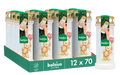 Bolsius - Herdenkingslicht - Wit met Teddybeer Print - 12 stuks - 70 branduren - 3 Dagen