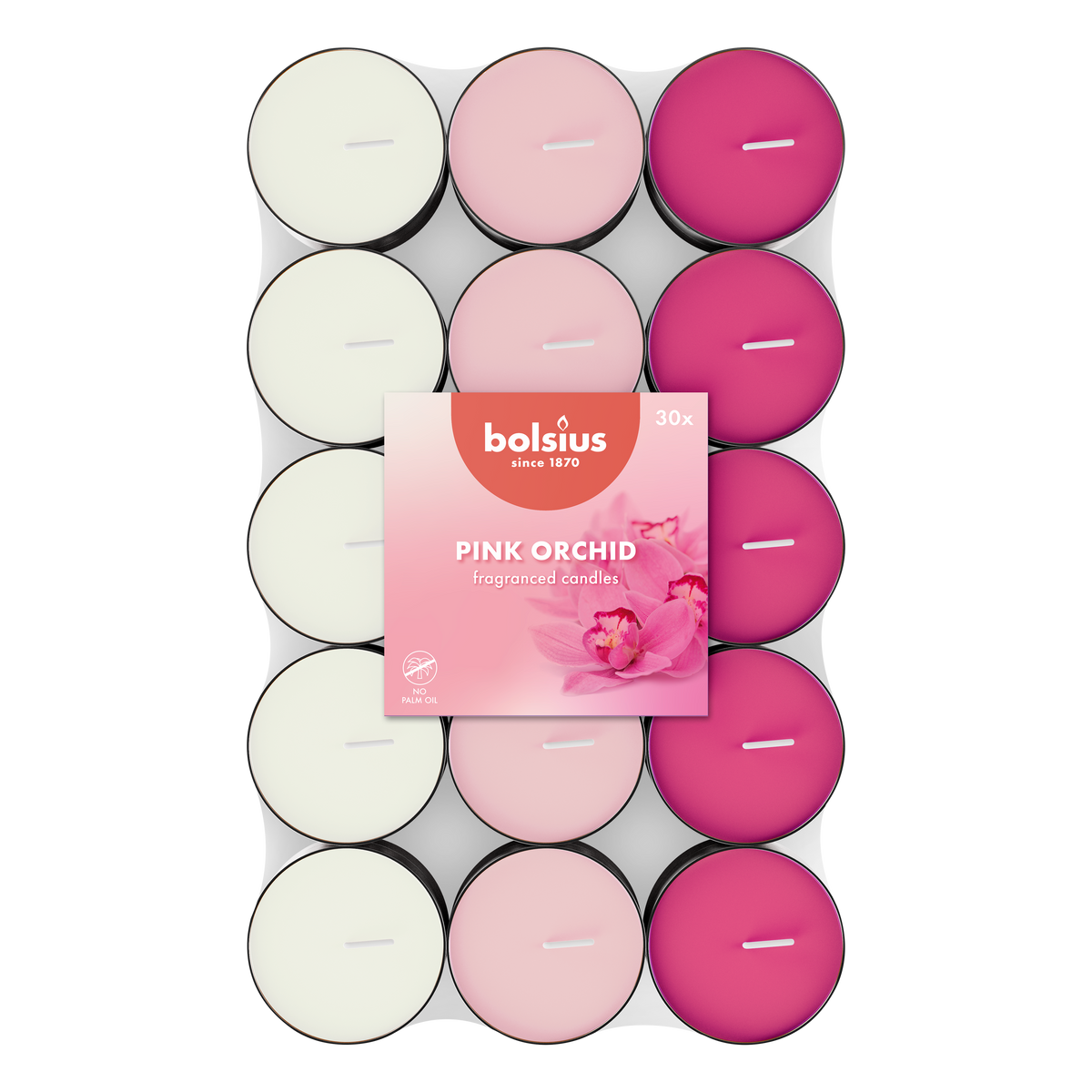 Bolsius - 240 Geur Theelichten - Pink Orchid - Waxinelichtjes - 3,5 branduren