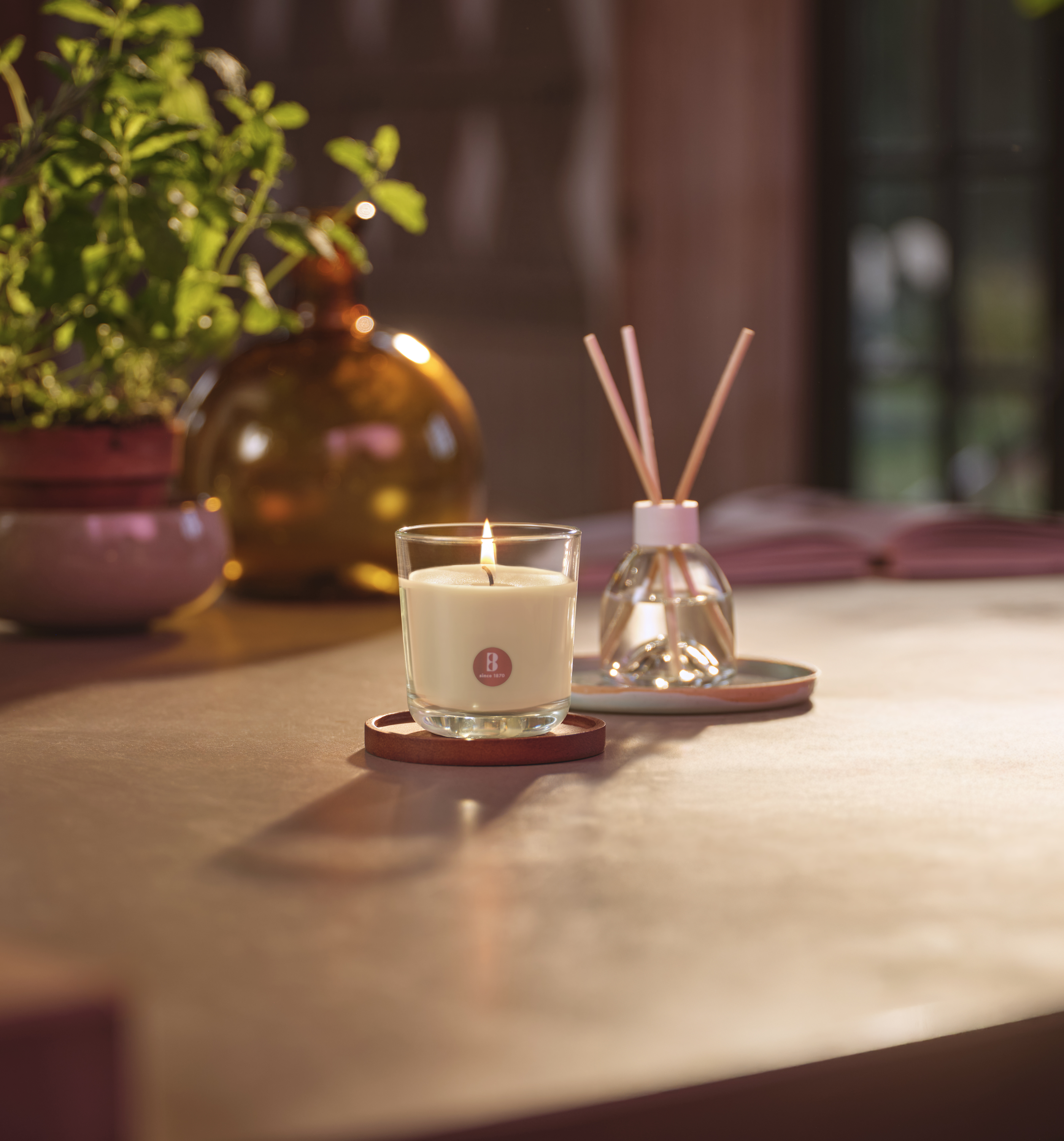 Bolsius - True Scents - 4 Geurkaarsen - Fresh Cotton - Voordeelverpakking - Geur Kaars