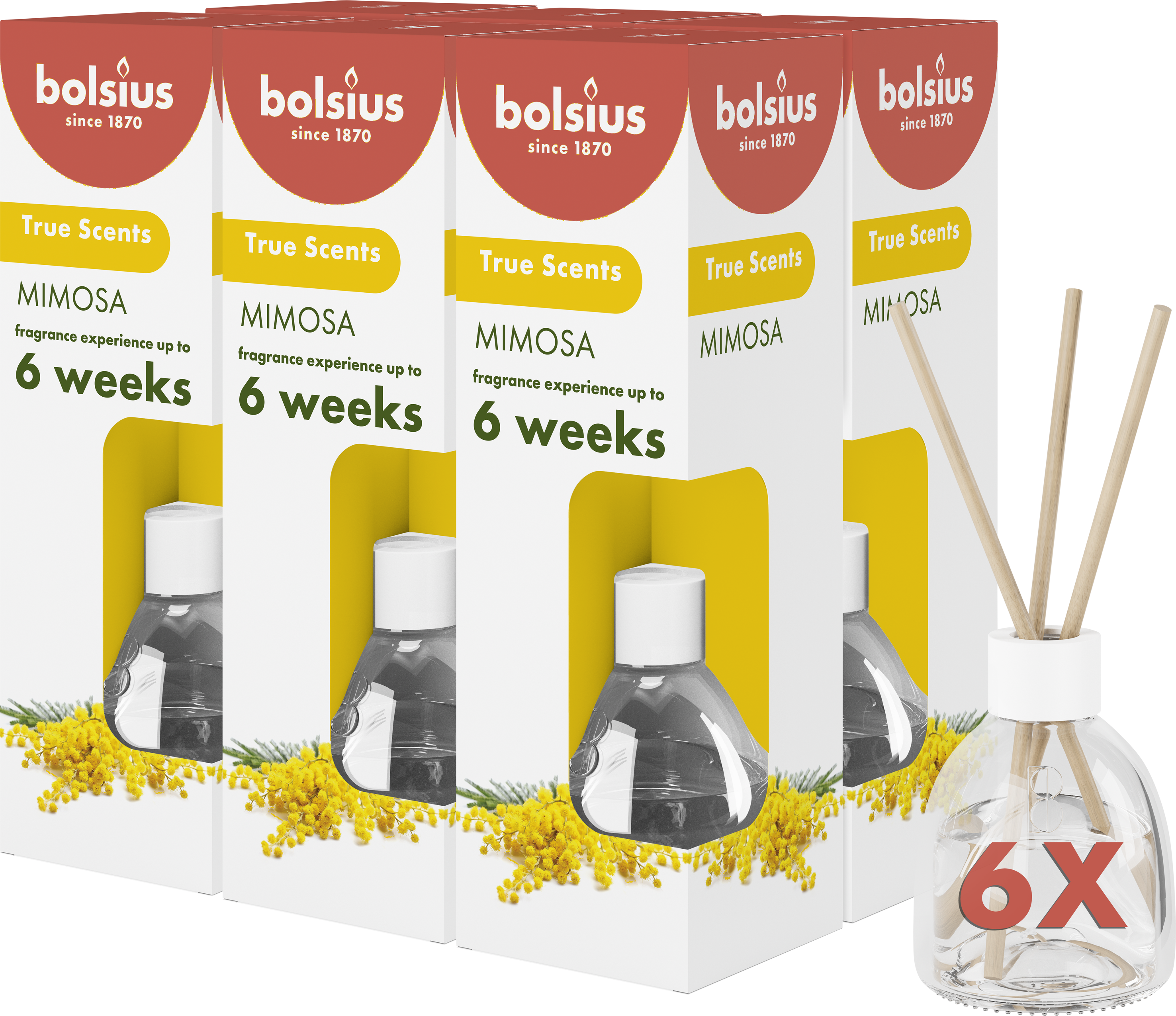 Bolsius True Scents - Geurstokjes - Mimosa - 6 stuks - Voordeelverpakking - 60ml