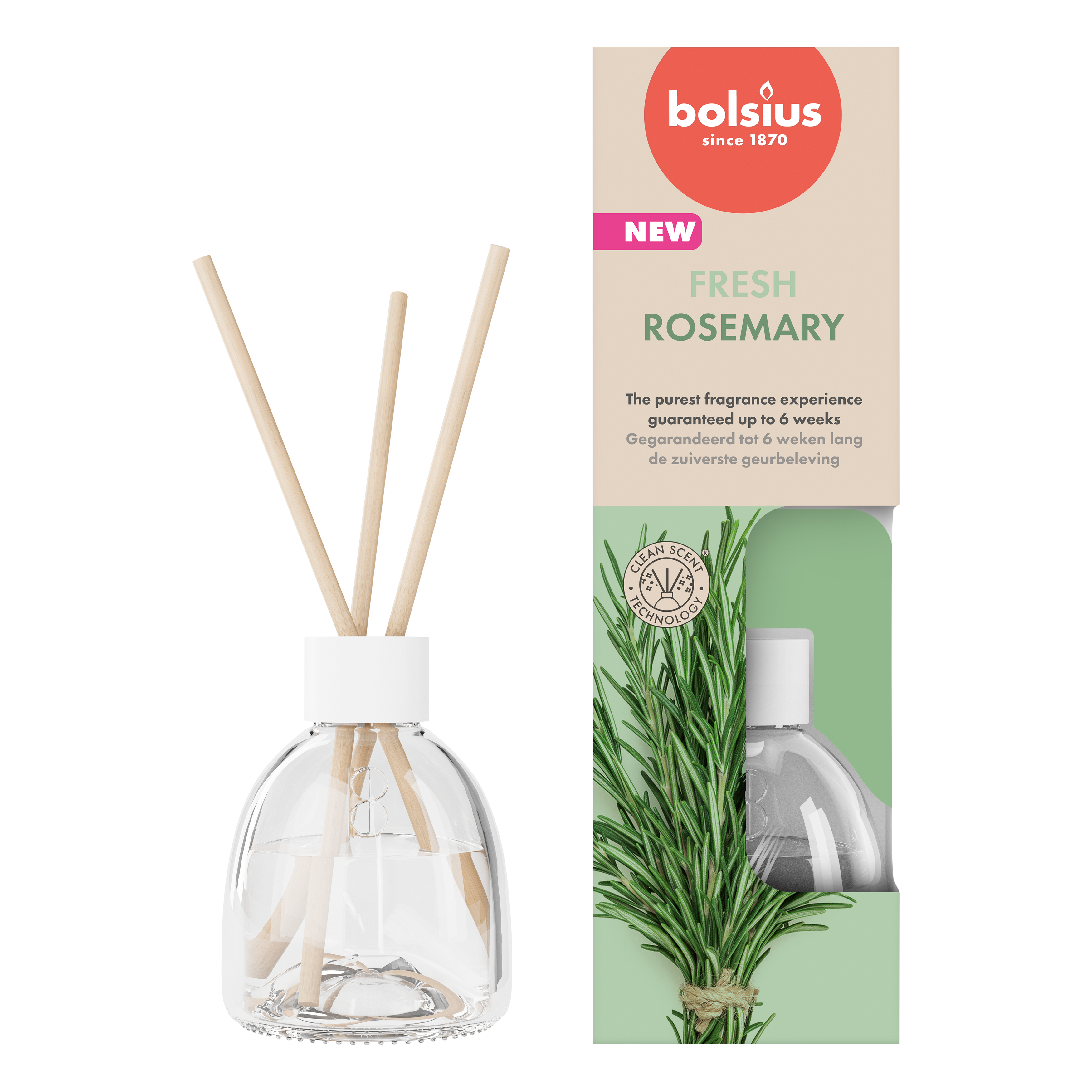 Bolsius True Scents - Geurstokjes - Rozemarijn - 6 Stuks - Voordeelverpakking - 60 ml