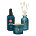 Bolsius - True Joy set - Geurkaars - Geurstokjes - Huisparfum - Woody Wellness