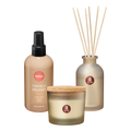 Bolsius - True Joy set - True Joy set - Geurkaars - Geurstokjes - Huisparfum - Vanilla Delight