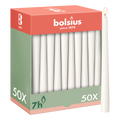 Bolsius - Gladde Dinerkaarsen - 50 stuks - Wit - 24,5 cm - Voordeelverpakking