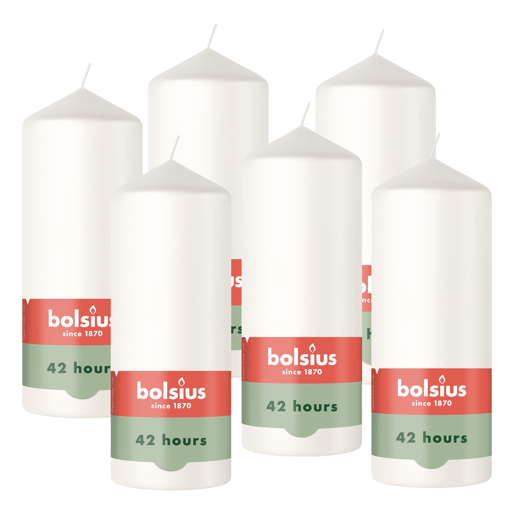 Bolsius - Gladde Stompkaarsen - Wit - 6 stuks - 15cm - 42 Branduren