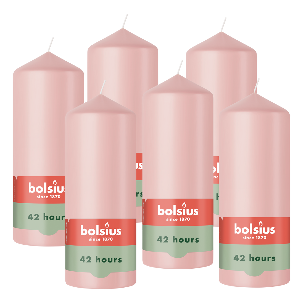 Bolsius - Gladde Stompkaarsen - Roze - 6 stuks - 15cm - 42 Branduren