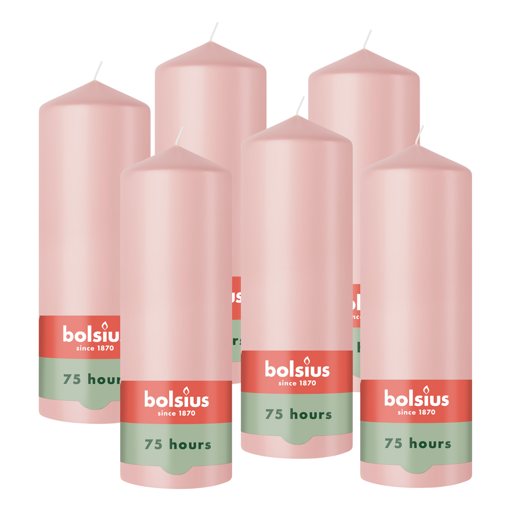 Bolsius - Gladde Stompkaarsen - 6 Stuks - Roze - 20 cm - 75 Branduren