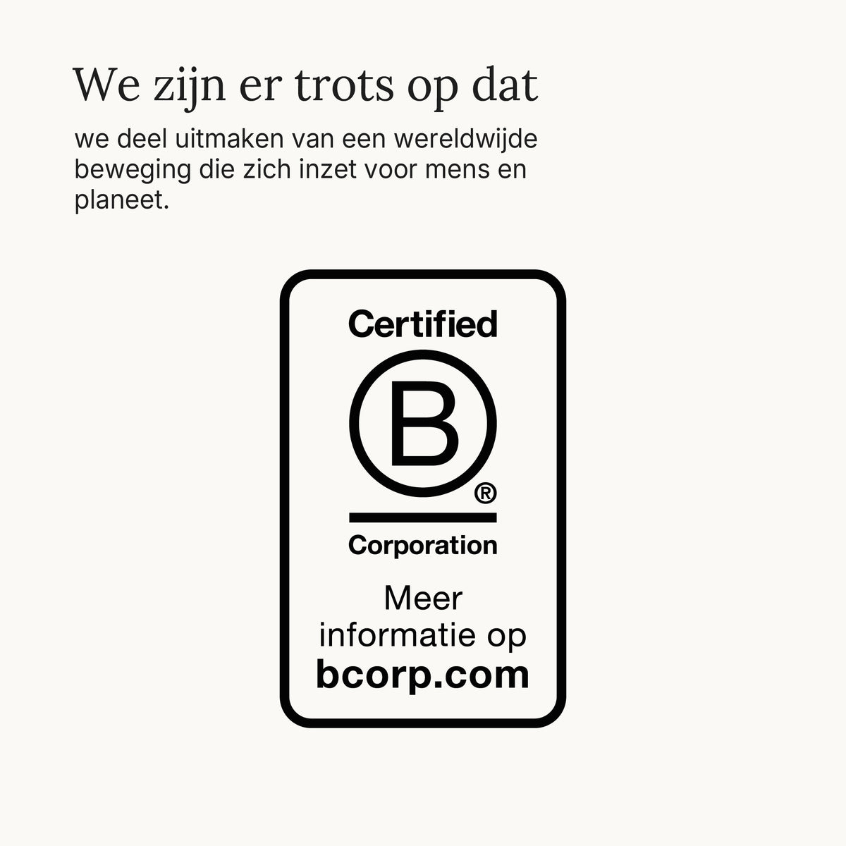 Bolsius - Rustieke kaarsen set - Carrara Grey - Marble