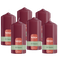 Bolsius - Glossy - Stompkaarsen - 6 Stuks - Rood - 13cm - 43 branduren