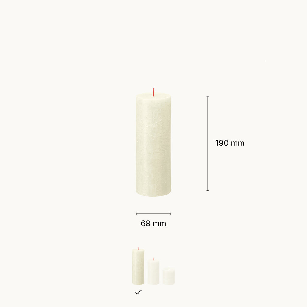 Bolsius - Rustieke Stompkaarsen - 4 Stuks - Bruin - 19cm - 85 branduren