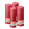 Bolsius - Rustieke Kaars - 4 Stuks - Rood - 19cm