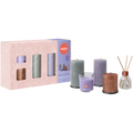 Bolsius - Rustieke Kaarsen Set - Geur Set - Giftset - Funky Freshness - Lavendel