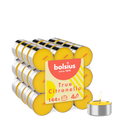 Bolsius - 144 Geurtheelichten - Waxinelichtjes - Citronella - Buitenkaars
