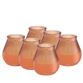 Bolsius - 6 Geurkaarsen - Citronella - Buitenkaars - Koraal